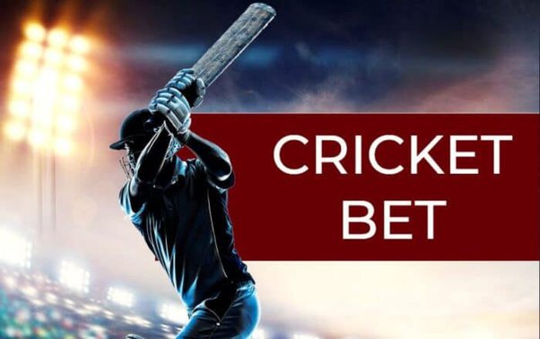 How To Win Cricket Bet Every Time